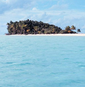 Island Quiz
